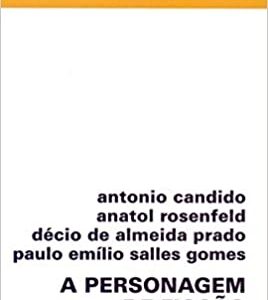 A personagem de ficção  Capa comum – 1 janeiro 2009